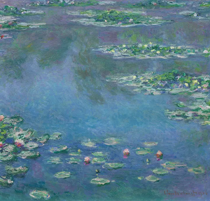 Ninfeias